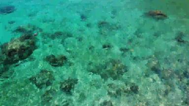 平静海水石头和平蓝色的海水灰色的巨石完美的的地方浮潜KOH我岛阳光明媚的一天泰国自然背景纹理